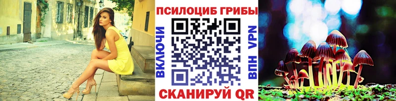 блэк спрут маркетплейс Опочка Псилоцибиновые грибы MAGIC MUSHROOMS