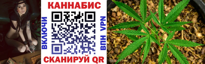 Бошки марихуана сатива  наркота  блэк спрут   Опочка 